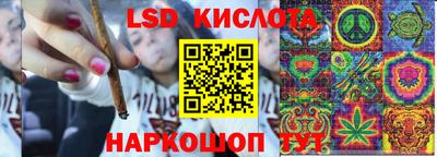 тгк Рыбинск