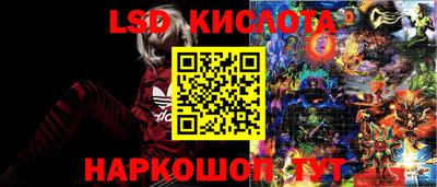 Альфа ПВП Рузаевка